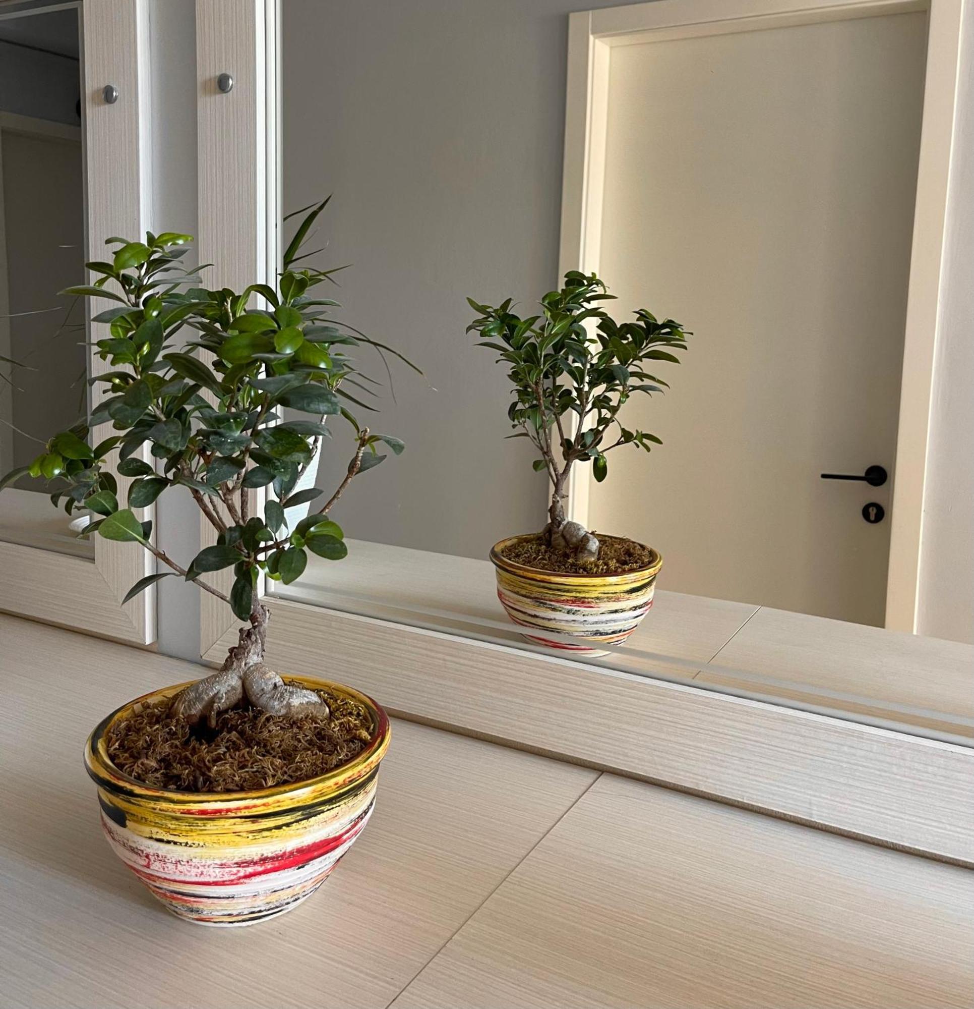 Melina Apartments Saranda Dış mekan fotoğraf